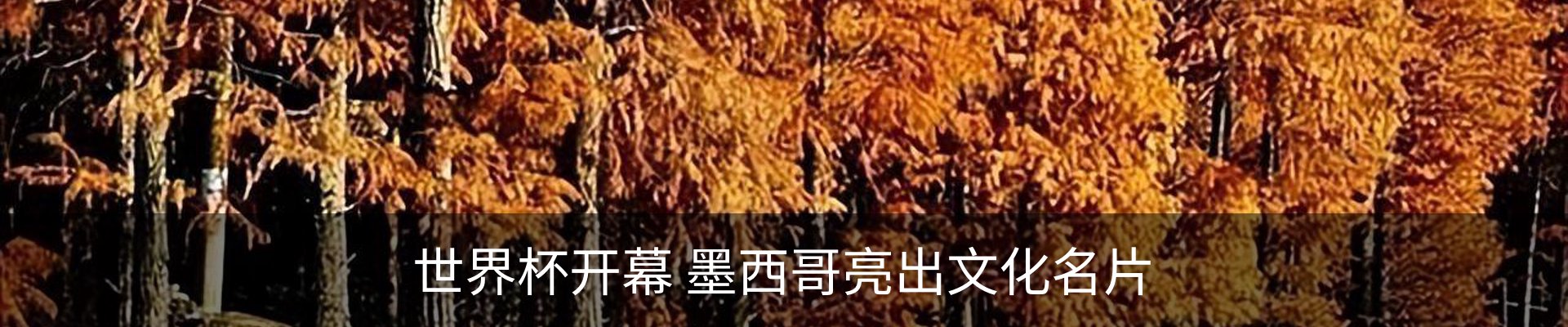 内页banner