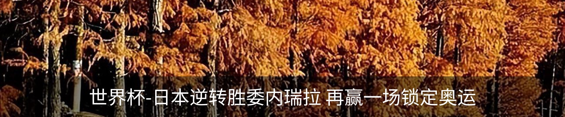 内页banner