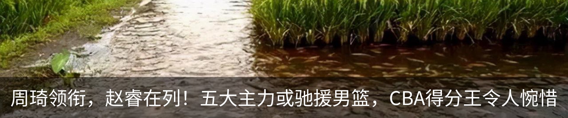 内页banner