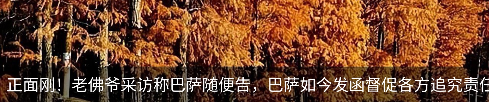 内页banner