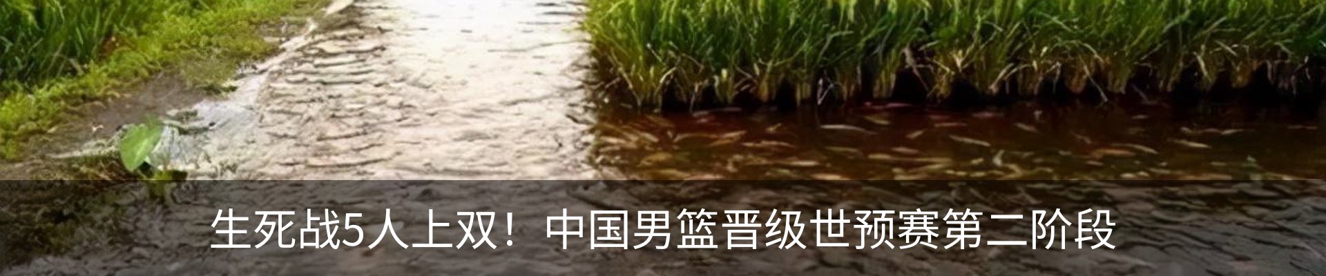 内页banner