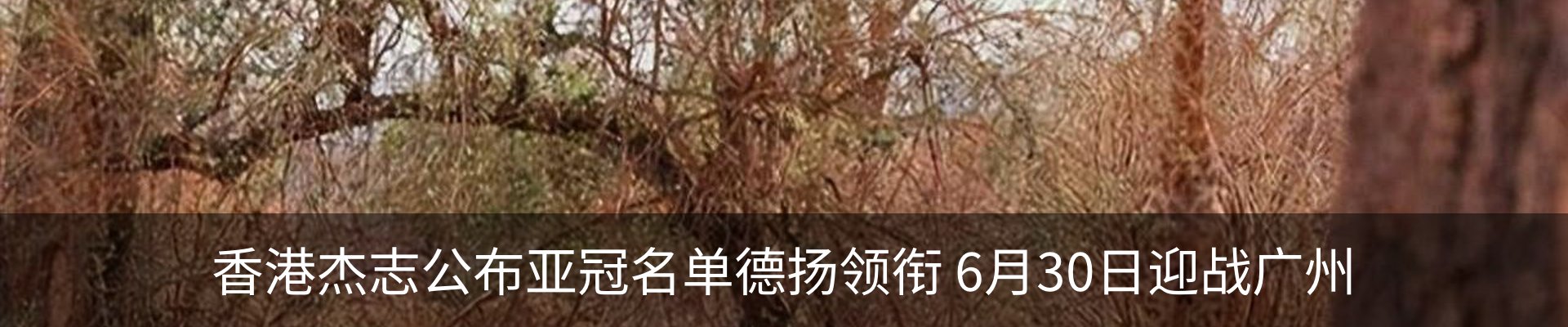 内页banner