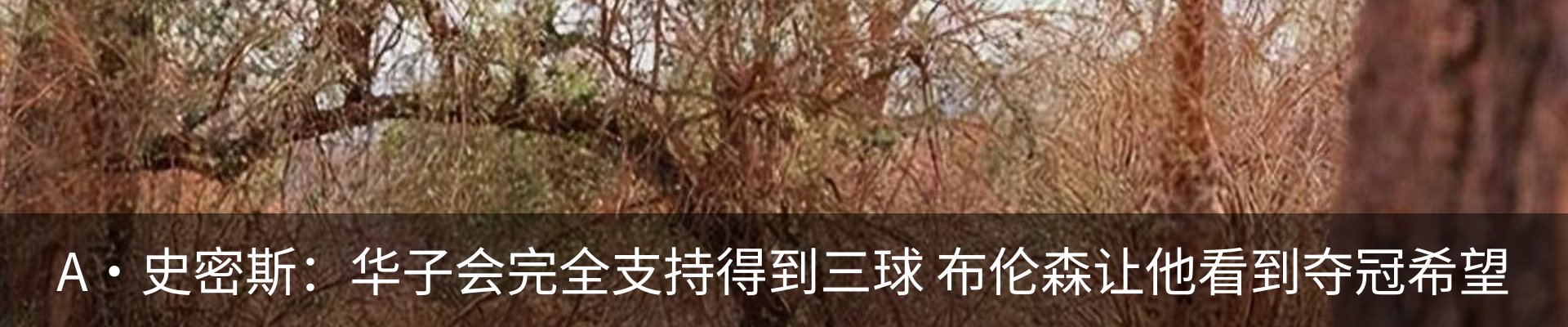 内页banner